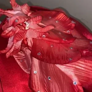 Ann Marie | Accessories | Beautiful Vintage Red Satin Church  display picture 3